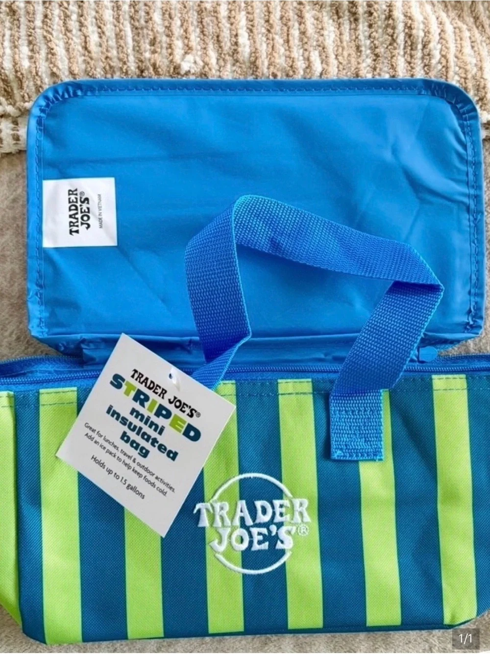 Trader Joe's Blue & Green Striped Mini Insulated Cooler Bag